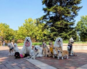 お友達に囲まれたルークのやさしい表情